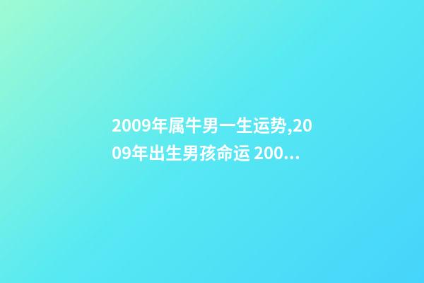 2009年属牛男一生运势,2009年出生男孩命运 2009年几月份的牛宝宝最好命,09年属牛几月出生好-第1张-观点-玄机派